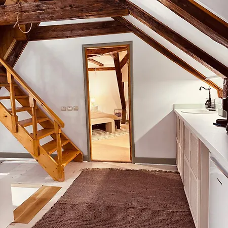Belle Vista Loft 브라쇼브