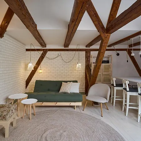 아파트 Belle Vista Loft 브라쇼브