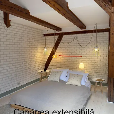 아파트 Belle Vista Loft 브라쇼브